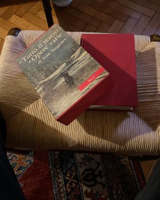 Letteratura russa Turgenev