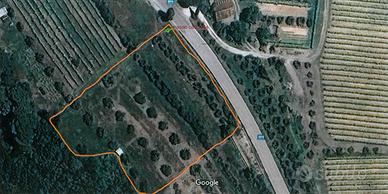 Terreno Agricolo Gambassi Terme