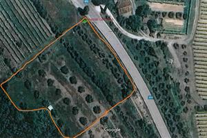 Terreno Agricolo Gambassi Terme