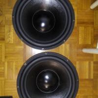 Coppia subwoofer 380mm