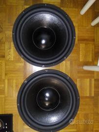 Coppia subwoofer 380mm