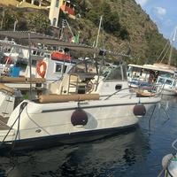 Barca entrobordo Yanmar