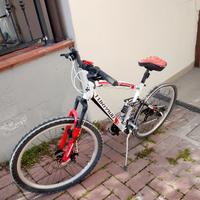 montan bike