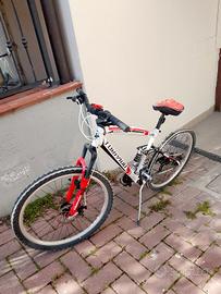 montan bike