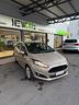 ford-fiesta-1-4-bz-gpl-business-x-neopatentati