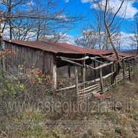 Terreno Agricolo Piancastagnaio [A4345767]
