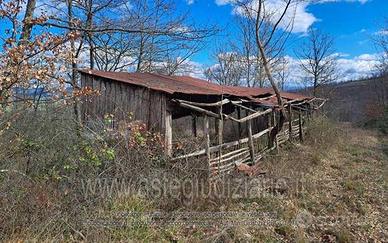 Terreno Agricolo Piancastagnaio [A4345767]