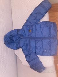 giubbotto blauer bimbo