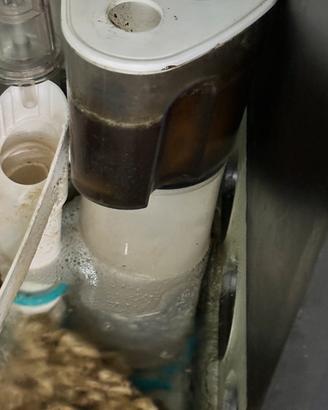 Schiumatoio division 125