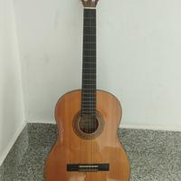 chitarra classica George Washburn C10N