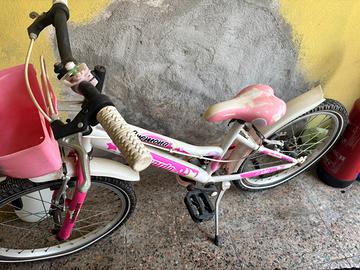 Bici raggio 20