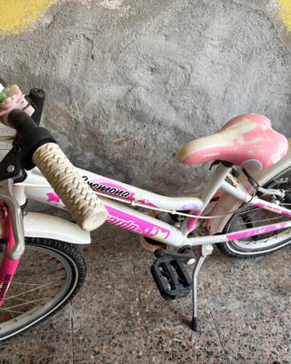 Bici raggio 20