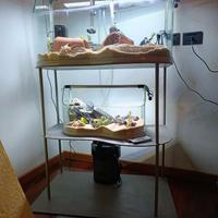 Doppio Acquario con mobile.