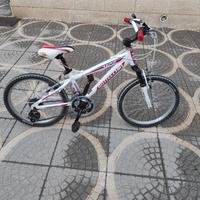 Bici da bambino bottecchia