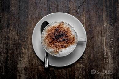 Cogefim 16202 - Bar Caffetteria lago (VB)