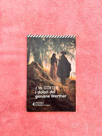I dolori del giovane Werther