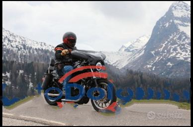 Harley-Davidson Sportster 883 - 2007