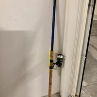 Canna Trabucco Royal Series Allen 420