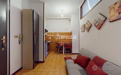 Monolocale con balcone, cantina annessa.