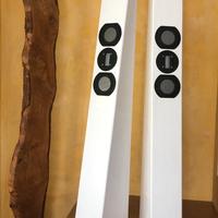 Casse acustiche di carnica diffusori acustici