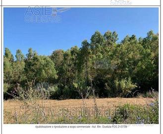 Terreno Agricolo Carbonia [A4299093]