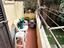 Immagine 12