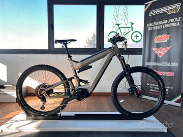 Bicicletta Elettrica Trekking Riese e Muller