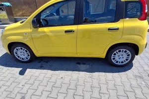 Pandina icon hybrid gialla