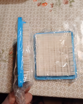 2 filtri per Tagliaerba 
