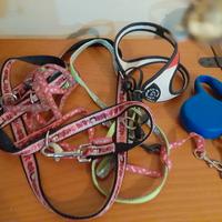 accessori per cani 