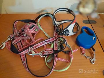 accessori per cani 