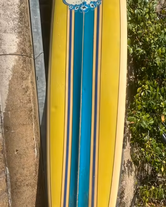 Tavola da SURF