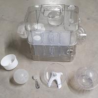 Gabbia criceto, giochi e palle passeggiata