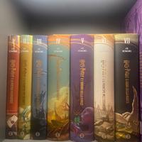 Libri harry potter edizione 25 anni