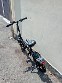 bici a pedalata semi assistita 