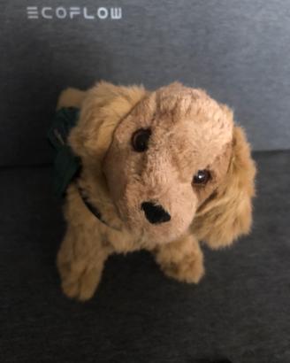 Cucciolo di Golden Retriever di peluche (LL BEAN)