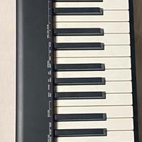 pianoforte digitale Casio CDP-S110 a 88 tasti