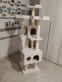 accessori per gatto
