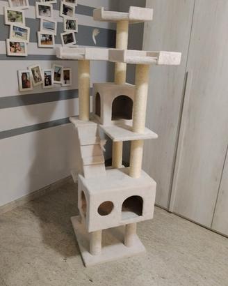 accessori per gatto