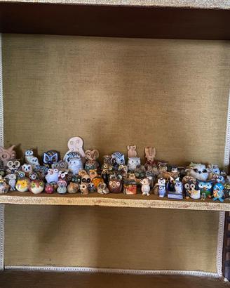 Collezione di Gufi