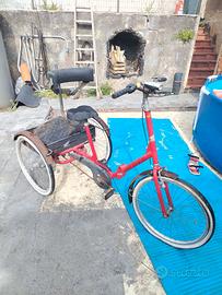Bici triciclo