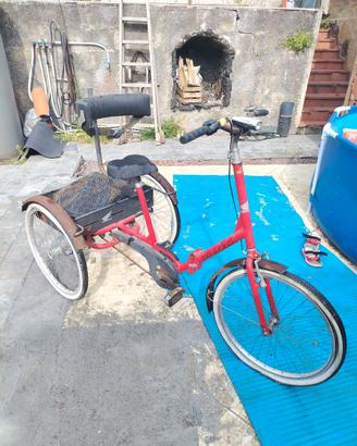 Bici triciclo