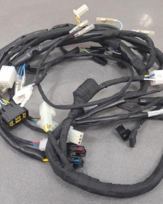Impianto elettrico fantic 50 