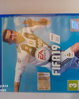 fifa 19