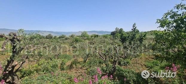 Terreno agricolo 3.200mq zona doc a castiglione - Vista 5