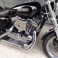 Harley-Davidson Sportster XL1200L- 2006