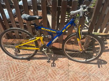 Bicicletta cambio schimano