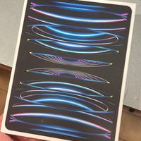 Ipad pro 12.9 6 generazione 512gb