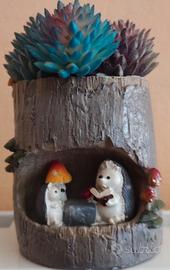 Vasetto decorativo con piante grasse incluse 