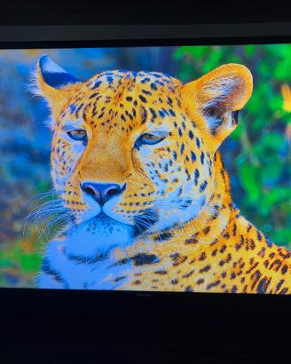 Tv samsung 4k 40 pollici